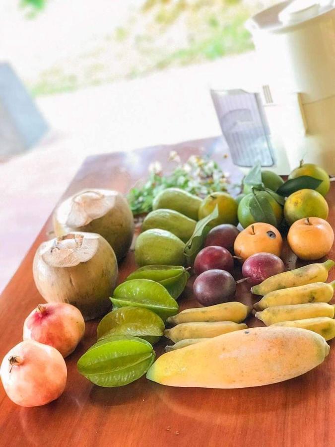 Pai Bjooc Homestay Tuyen Quang 外观 照片