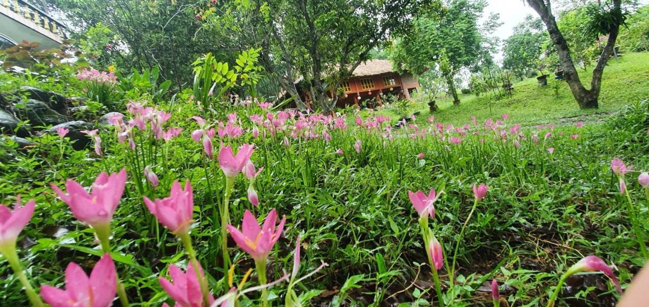 Pai Bjooc Homestay Tuyen Quang 外观 照片