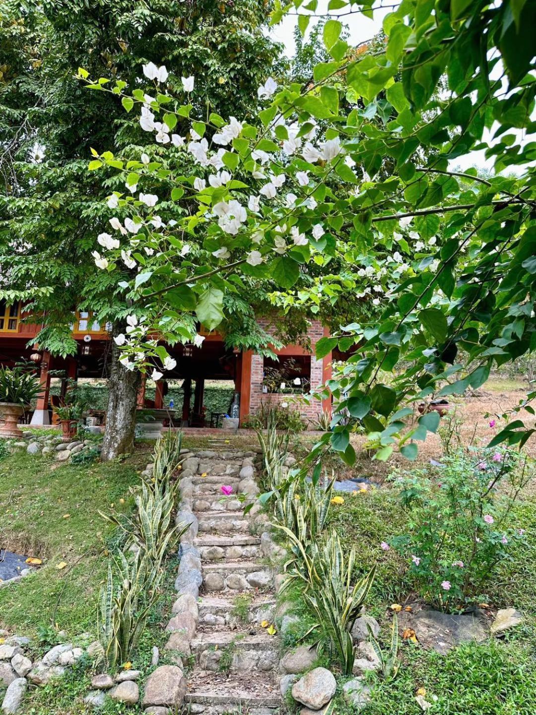 Pai Bjooc Homestay Tuyen Quang 外观 照片