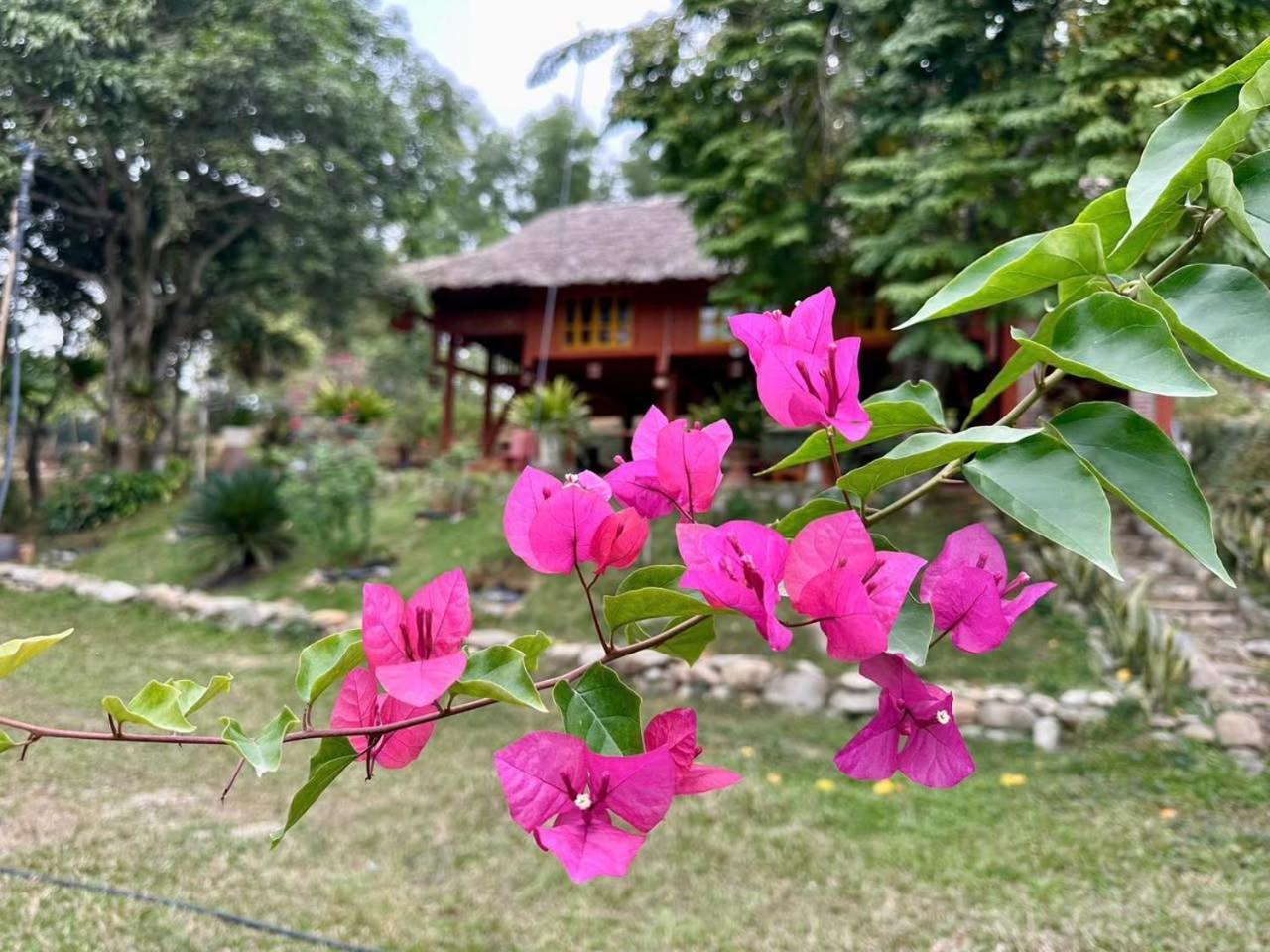 Pai Bjooc Homestay Tuyen Quang 外观 照片