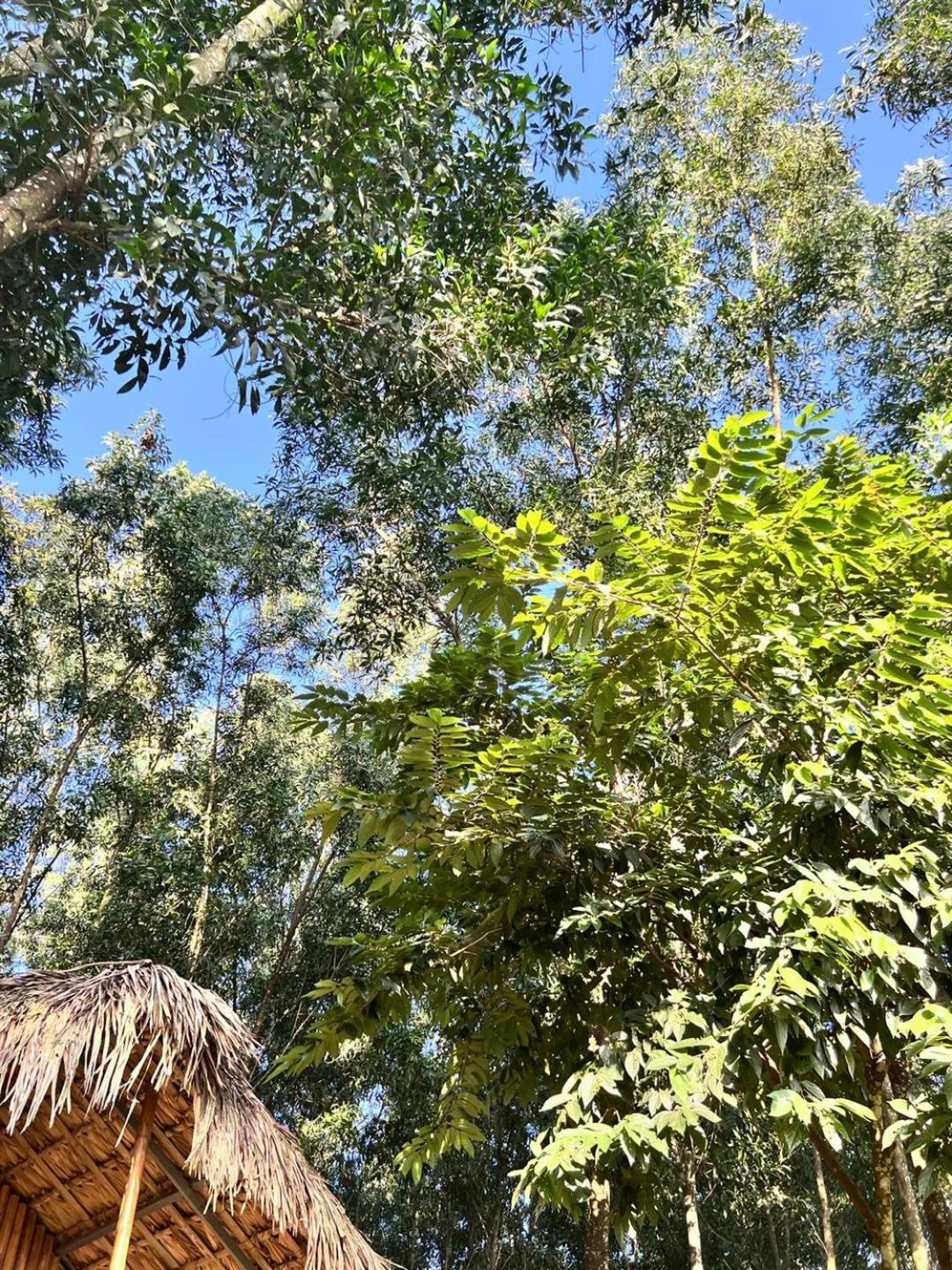 Pai Bjooc Homestay Tuyen Quang 外观 照片